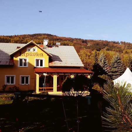 Hotel Penzion Lipůvka Lipová-lázně Exteriér fotografie