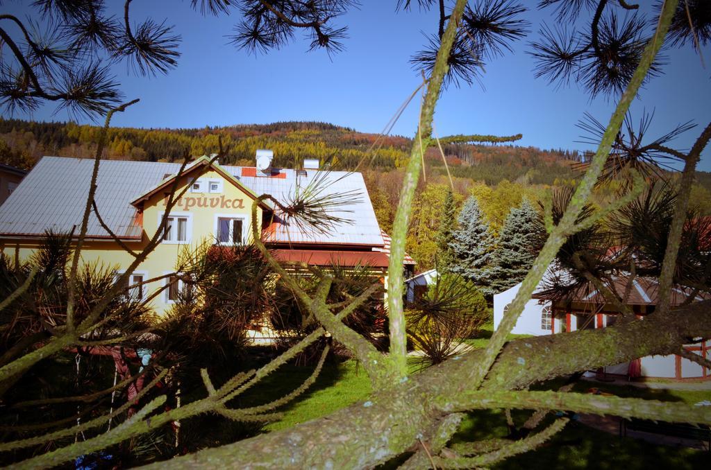 Hotel Penzion Lipůvka Lipová-lázně Exteriér fotografie